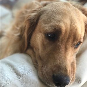 Meet your Posher, Zoe